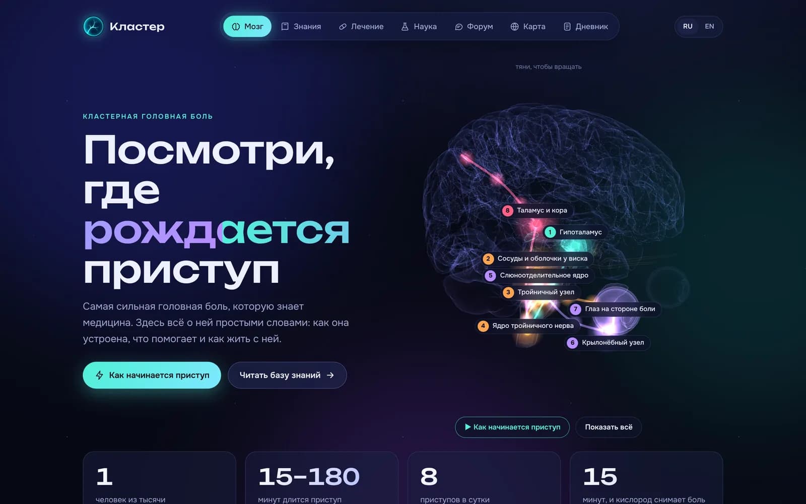 Главная: живой 3D-мозг