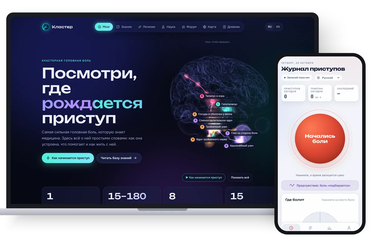Сайт «Кластер» на ноутбуке и дневник приступов на телефоне